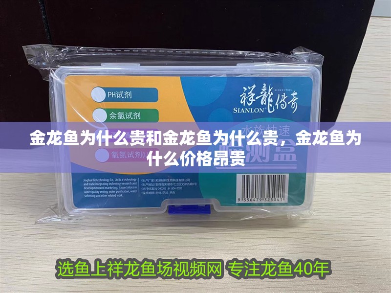金龍魚為什么貴和金龍魚為什么貴，金龍魚為什么價格昂貴