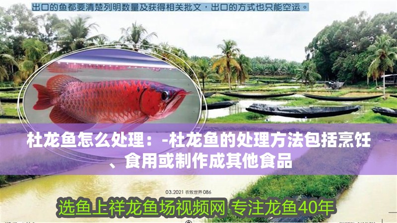 杜龍魚怎么處理：-杜龍魚的處理方法包括烹飪、食用或制作成其他食品 杜龍魚怎么處理：-杜龍魚的處理方法包括烹飪、食用或制作成其他食品 觀賞魚百科 第1張