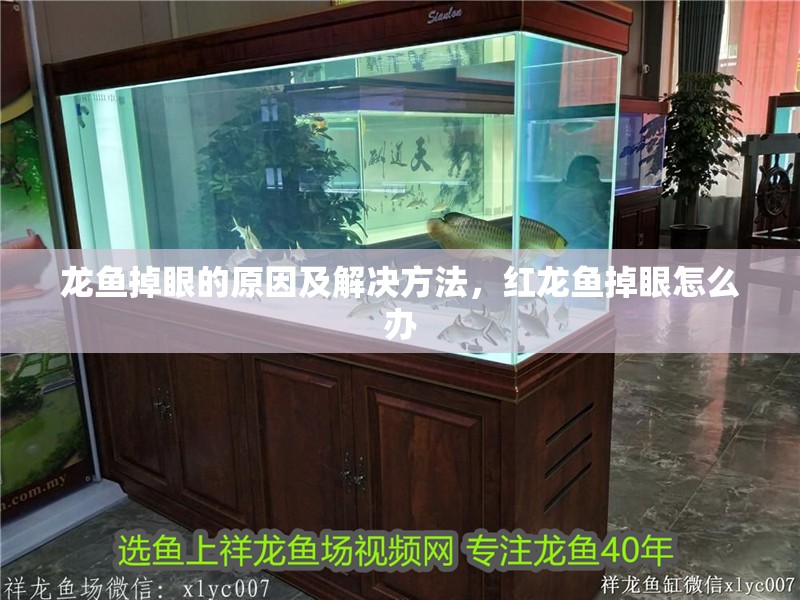 龍魚掉眼的原因及解決方法，紅龍魚掉眼怎么辦
