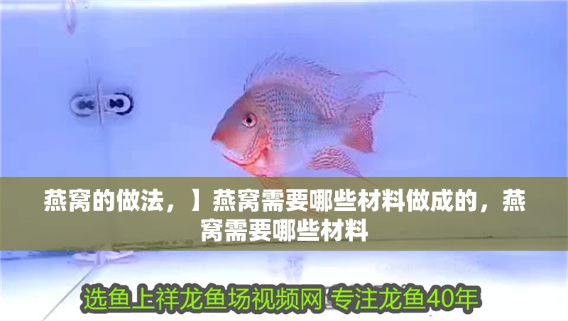 燕窩的做法，】燕窩需要哪些材料做成的，燕窩需要哪些材料