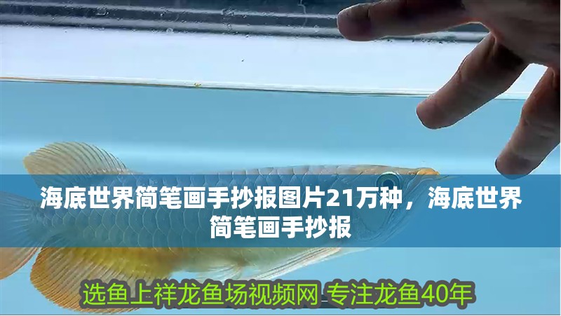 海底世界簡筆畫手抄報(bào)圖片21萬種，海底世界簡筆畫手抄報(bào)