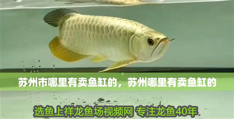 蘇州市哪里有賣魚缸的，蘇州哪里有賣魚缸的