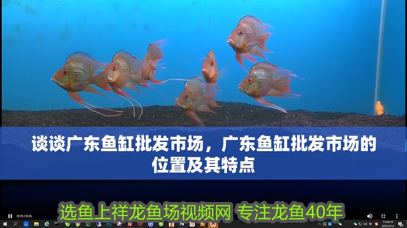 談談廣東魚缸批發市場,廣東魚缸批發市場的位置及其特點 觀賞魚百科 第4張 談談廣東魚缸批發市場,廣東魚缸批發市場的位置及其特點 談談廣東魚缸批發市場,廣東魚缸批發市場的位置及其特點 觀賞魚百科 第4張