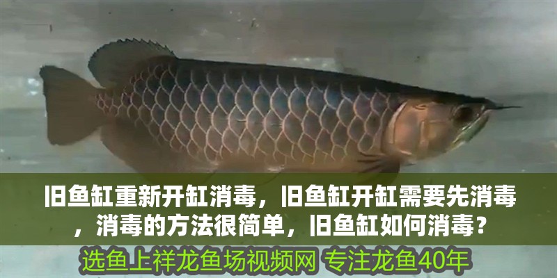 舊魚缸重新開缸消毒，舊魚缸開缸需要先消毒，消毒的方法很簡(jiǎn)單，舊魚缸如何消毒？