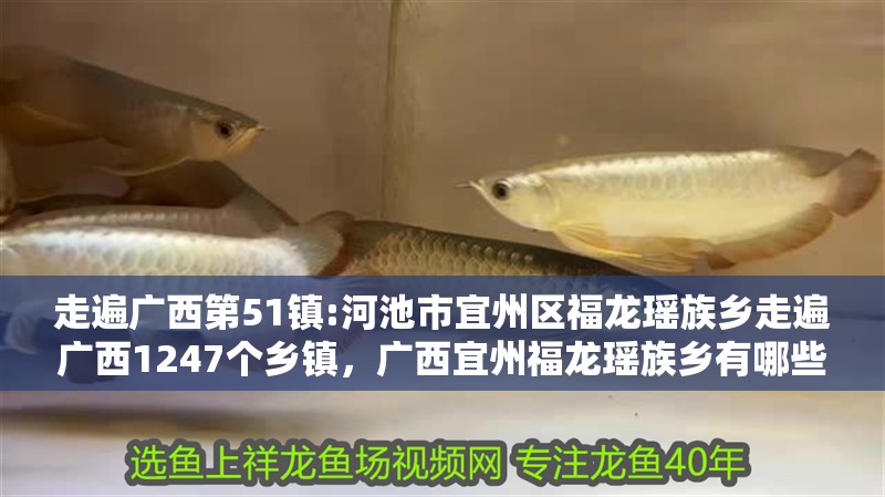 走遍廣西第51鎮:河池市宜州區福龍瑤族鄉走遍廣西1247個鄉鎮，廣西宜州福龍瑤族鄉有哪些著名的旅游景點