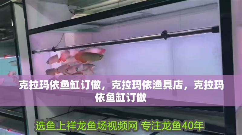 克拉瑪依魚缸訂做，克拉瑪依漁具店，克拉瑪依魚缸訂做