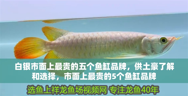 白銀市面上最貴的五個魚缸品牌，供土豪了解和選擇，市面上最貴的5個魚缸品牌