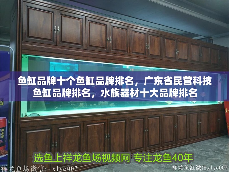 魚缸品牌十個魚缸品牌排名，廣東省民營科技魚缸品牌排名，水族器材十大品牌排名