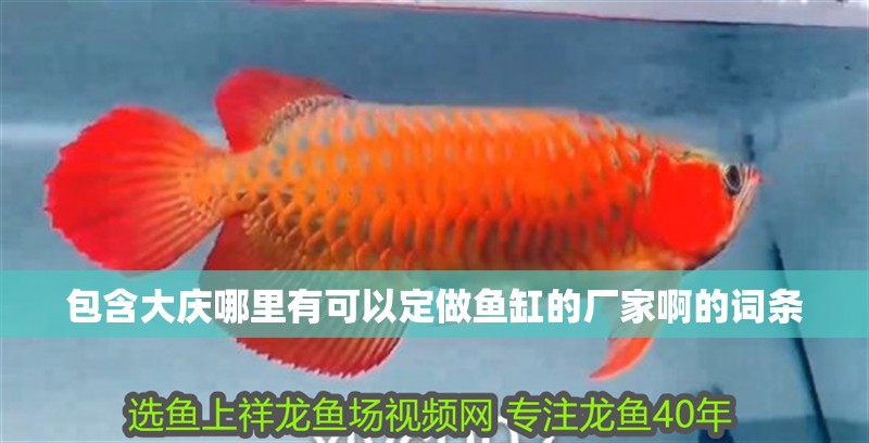 包含大慶哪里有可以定做魚缸的廠家啊的詞條 觀賞魚百科 第1張 包含大慶哪里有可以定做魚缸的廠家啊的詞條 包含大慶哪里有可以定做魚缸的廠家啊的詞條 觀賞魚百科 第1張