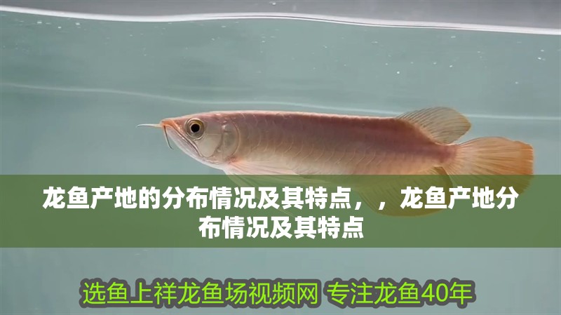 龍魚產地的分布情況及其特點，，龍魚產地分布情況及其特點