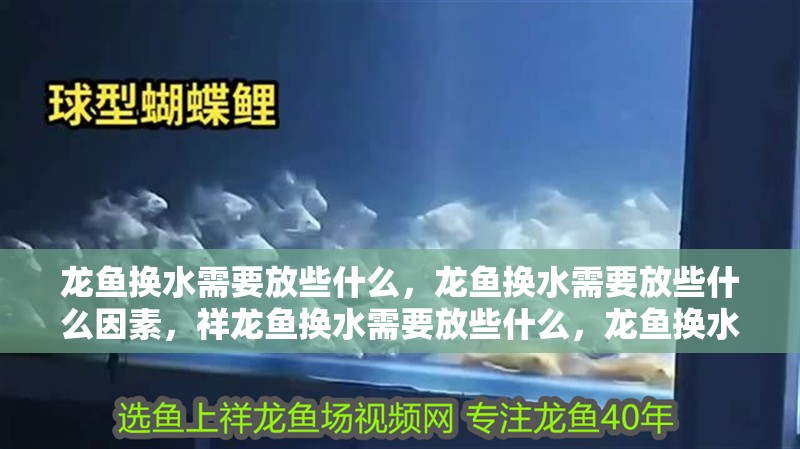 龍魚換水需要放些什么，龍魚換水需要放些什么因素，祥龍魚換水需要放些什么，龍魚換水需要放些什么因素 龍魚換水需要放些什么，龍魚換水需要放些什么因素，祥龍魚換水需要放些什么，龍魚換水需要放些什么因素 觀賞魚百科 第2張