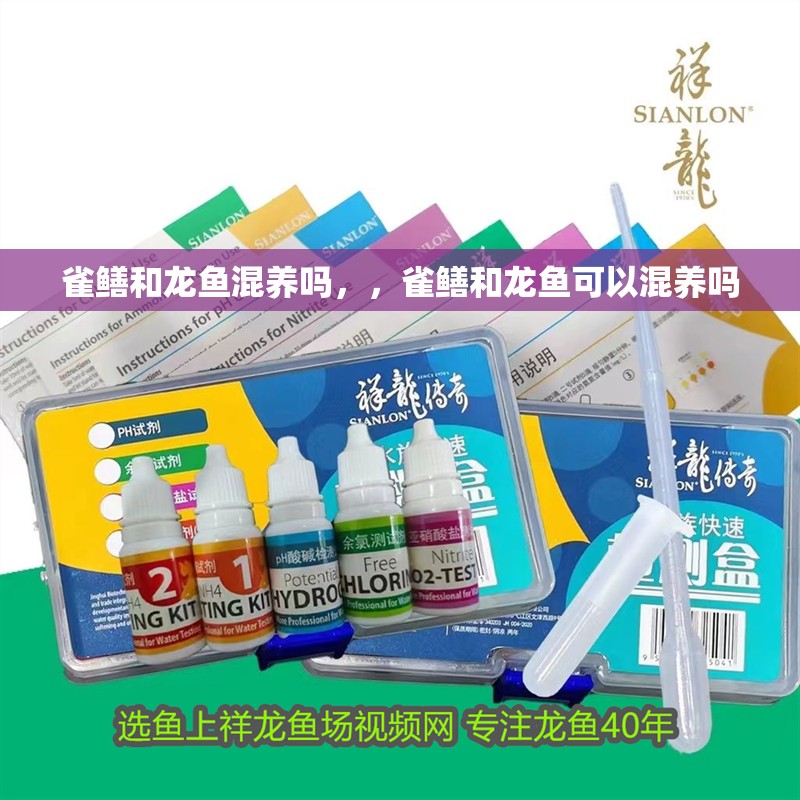 雀鱔和龍魚混養(yǎng)嗎，，雀鱔和龍魚可以混養(yǎng)嗎