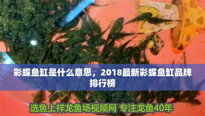 彩蝶魚缸是什么意思，2018最新彩蝶魚缸品牌排行榜