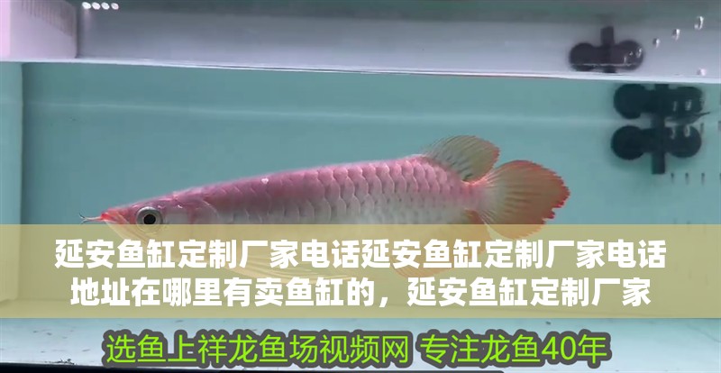 延安魚缸定制廠家電話延安魚缸定制廠家電話地址在哪里有賣魚缸的，延安魚缸定制廠家