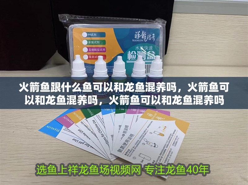 火箭魚跟什么魚可以和龍魚混養(yǎng)嗎，火箭魚可以和龍魚混養(yǎng)嗎，火箭魚可以和龍魚混養(yǎng)嗎