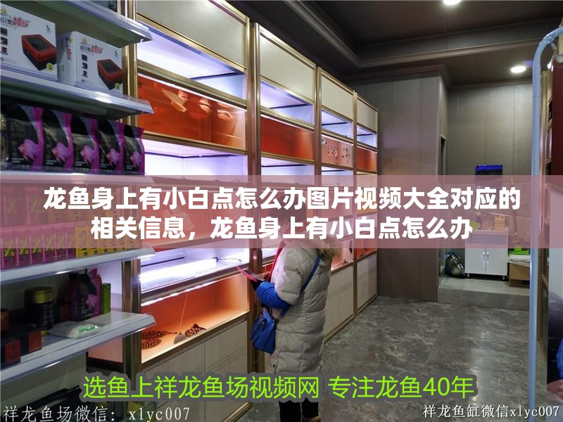 龍魚身上有小白點怎么辦圖片視頻大全對應的相關信息，龍魚身上有小白點怎么辦