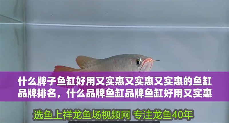 什么牌子魚缸好用又實惠又實惠又實惠的魚缸品牌排名，什么品牌魚缸品牌魚缸好用又實惠又實惠又實惠又實惠