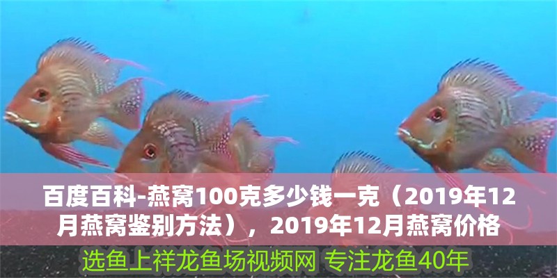 百度百科-燕窩100克多少錢一克（2019年12月燕窩鑒別方法），2019年12月燕窩價格