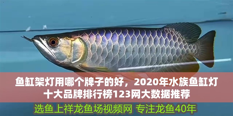 魚缸架燈用哪個牌子的好，2020年水族魚缸燈十大品牌排行榜123網大數據推薦