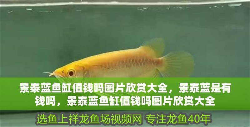 景泰藍魚缸值錢嗎圖片欣賞大全，景泰藍是有錢嗎，景泰藍魚缸值錢嗎圖片欣賞大全