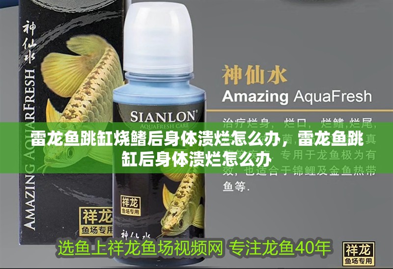 雷龍魚跳缸燒鰭后身體潰爛怎么辦，雷龍魚跳缸后身體潰爛怎么辦