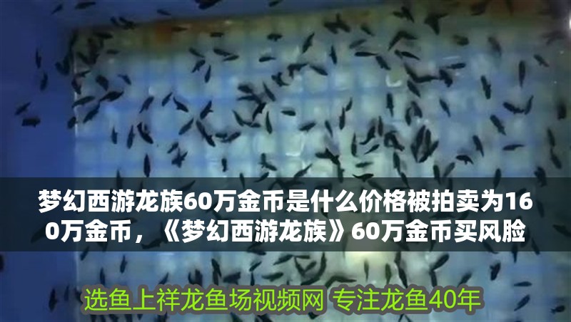 夢幻西游龍族60萬金幣是什么價格被拍賣為160萬金幣，《夢幻西游龍族》60萬金幣買風臉引發爭論