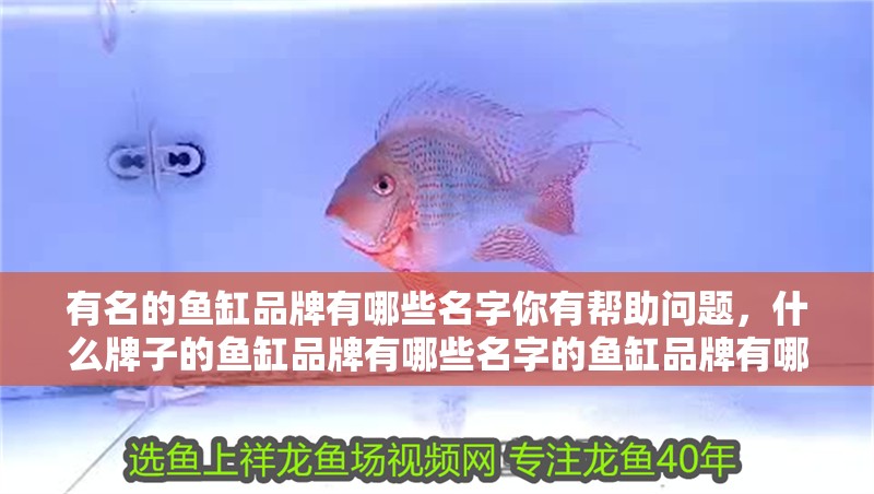 有名的魚(yú)缸品牌有哪些名字你有幫助問(wèn)題，什么牌子的魚(yú)缸品牌有哪些名字的魚(yú)缸品牌有哪些名字