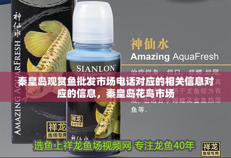 秦皇島觀賞魚批發市場電話對應的相關信息對應的信息，秦皇島花鳥市場