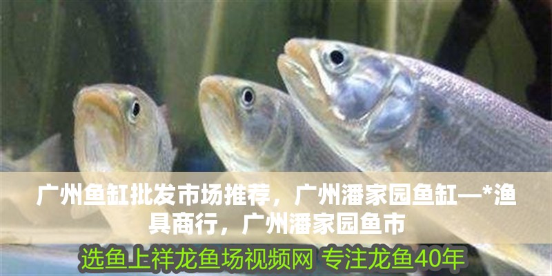 廣州魚缸批發市場推薦，廣州潘家園魚缸—*漁具商行，廣州潘家園魚市