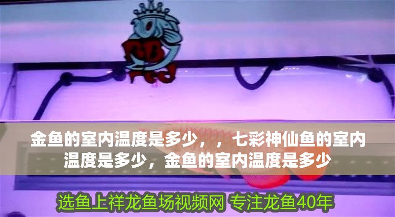 金魚的室內(nèi)溫度是多少，，七彩神仙魚的室內(nèi)溫度是多少，金魚的室內(nèi)溫度是多少 金魚的室內(nèi)溫度是多少，，七彩神仙魚的室內(nèi)溫度是多少，金魚的室內(nèi)溫度是多少 觀賞魚百科 第2張