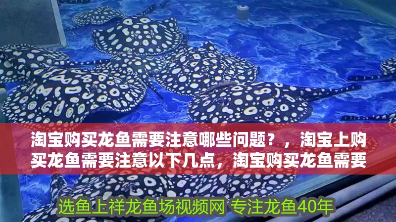 淘寶購買龍魚需要注意哪些問題？，淘寶上購買龍魚需要注意以下幾點，淘寶購買龍魚需要注意以下幾點