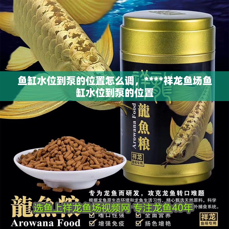 魚缸水位到泵的位置怎么調，****祥龍魚場魚缸水位到泵的位置