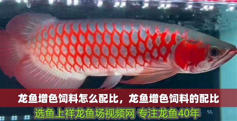 龍魚增色飼料怎么配比，龍魚增色飼料的配比