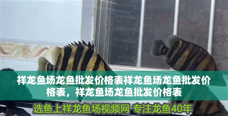 祥龍魚場龍魚批發價格表祥龍魚場龍魚批發價格表，祥龍魚場龍魚批發價格表