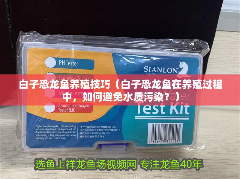 白子恐龍魚養殖技巧（白子恐龍魚在養殖過程中，如何避免水質污染？）