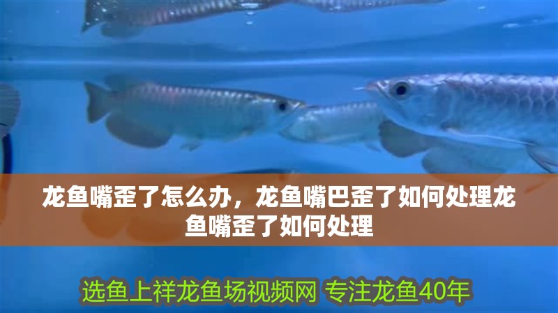 龍魚嘴歪了怎么辦，龍魚嘴巴歪了如何處理龍魚嘴歪了如何處理