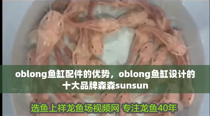 oblong魚缸配件的優勢，oblong魚缸設計的十大品牌森森sunsun