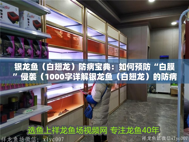 銀龍魚（白翅龍）防病寶典：如何預防“白膜”侵襲（1000字詳解銀龍魚（白翅龍）的防病寶典：如何預防“白膜”侵襲） 銀龍魚（白翅龍）防病寶典：如何預防“白膜”侵襲（1000字詳解銀龍魚（白翅龍）的防病寶典：如何預防“白膜”侵襲） 龍魚百科 第3張