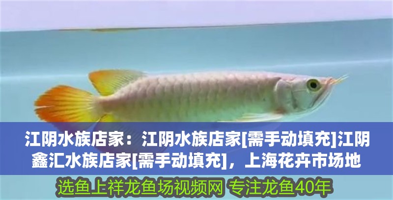 江陰水族店家：江陰水族店家[需手動填充]江陰鑫匯水族店家[需手動填充]，上海花卉市場地址