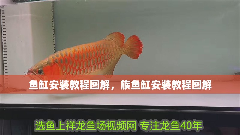 魚缸安裝教程圖解，族魚缸安裝教程圖解
