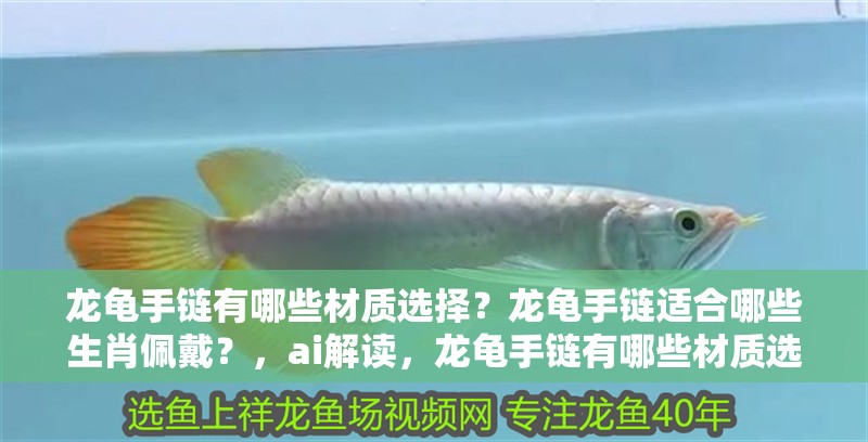 龍龜手鏈有哪些材質選擇？龍龜手鏈適合哪些生肖佩戴？，ai解讀，龍龜手鏈有哪些材質選擇？ 龍龜手鏈有哪些材質選擇？龍龜手鏈適合哪些生肖佩戴？，ai解讀，龍龜手鏈有哪些材質選擇？ 觀賞魚百科 第3張
