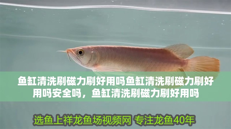 魚缸清洗刷磁力刷好用嗎魚缸清洗刷磁力刷好用嗎安全嗎，魚缸清洗刷磁力刷好用嗎