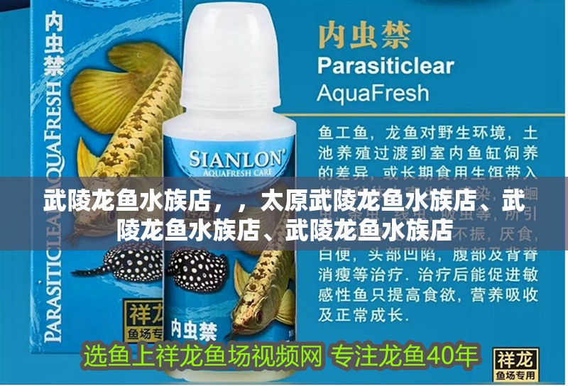 武陵龍魚(yú)水族店，，太原武陵龍魚(yú)水族店、武陵龍魚(yú)水族店、武陵龍魚(yú)水族店