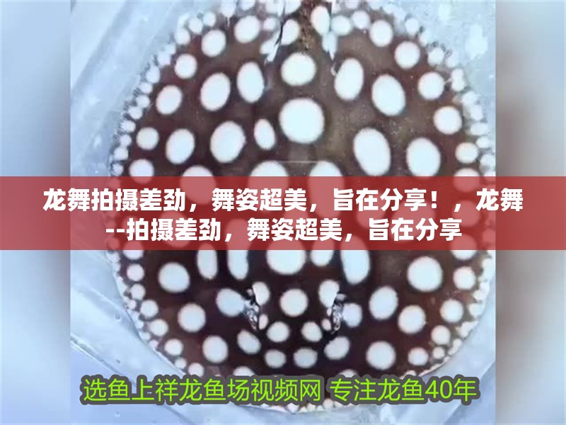 龍舞拍攝差勁，舞姿超美，旨在分享！，龍舞--拍攝差勁，舞姿超美，旨在分享