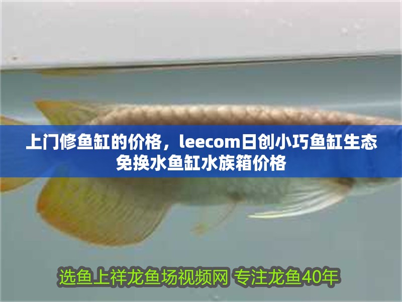 上門修魚缸的價(jià)格，leecom日創(chuàng)小巧魚缸生態(tài)免換水魚缸水族箱價(jià)格