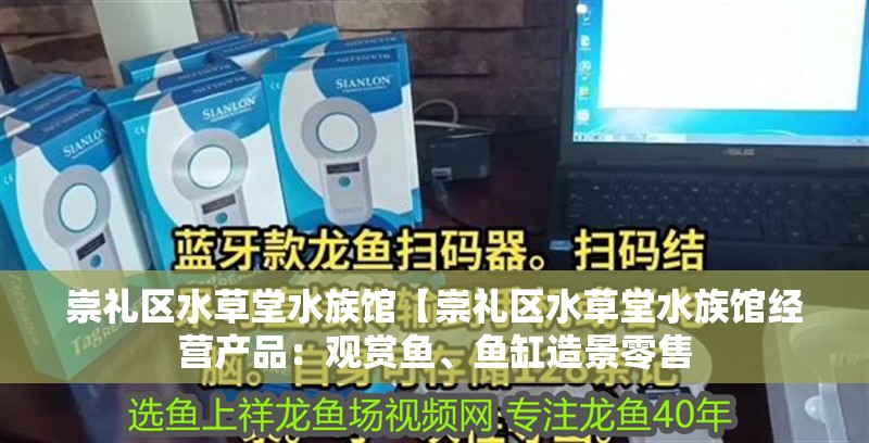 崇禮區水草堂水族館【崇禮區水草堂水族館經營產品：觀賞魚、魚缸造景零售