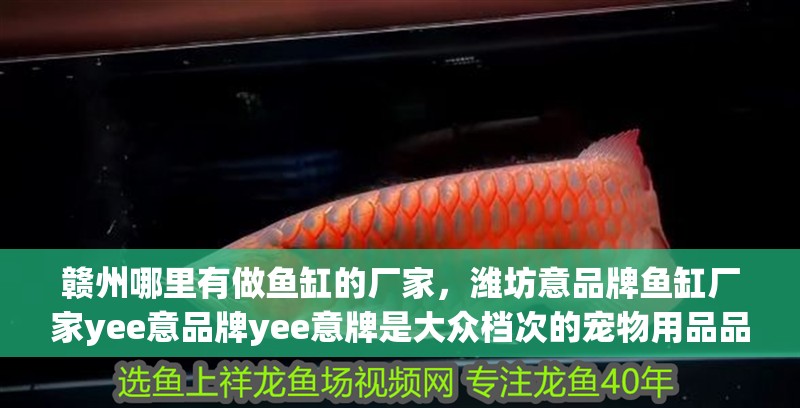 贛州哪里有做魚缸的廠家，濰坊意品牌魚缸廠家yee意品牌yee意牌是大眾檔次的寵物用品品牌
