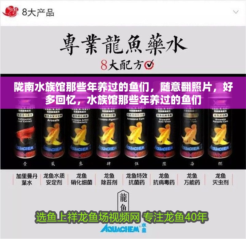 隴南水族館那些年養(yǎng)過的魚們，隨意翻照片，好多回憶，水族館那些年養(yǎng)過的魚們