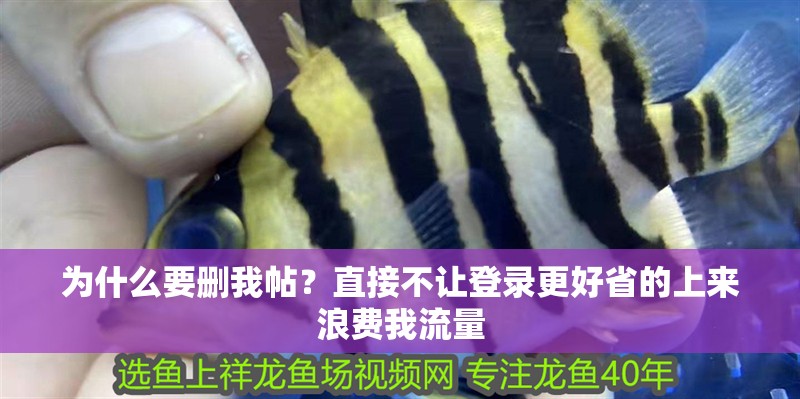 為什么要刪我帖？直接不讓登錄更好省的上來浪費我流量