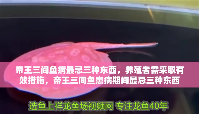 帝王三間魚病最忌三種東西，養殖者需采取有效措施，帝王三間魚患病期間最忌三種東西